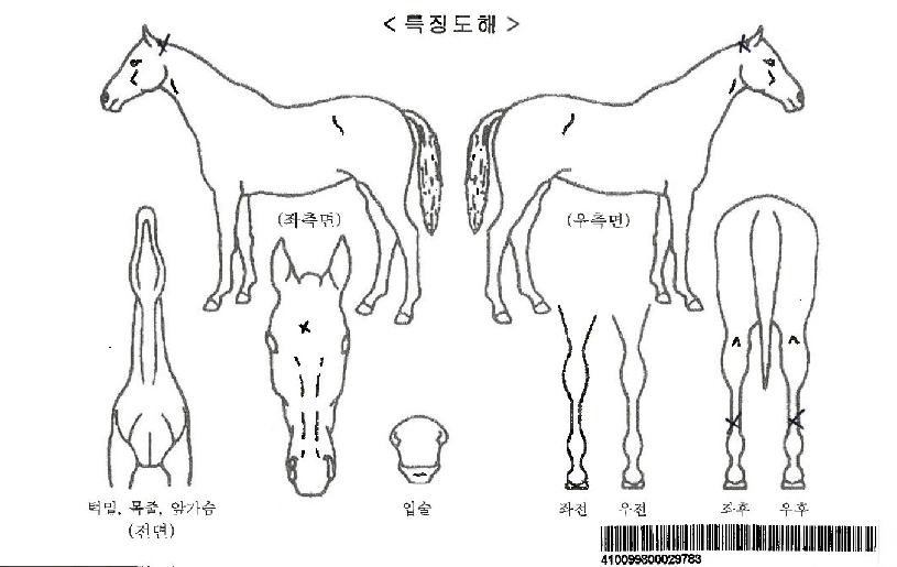 ´õÆÄ¿ö¿Àºê½ºÆ÷Æ®ÀÚ¸¶ÀÇ Ãø¸é,¿ì¸é,µÞ¸é,µÎ»ó,´Ù¸®ÀÇ Æ¯Â¡µµÇØ
