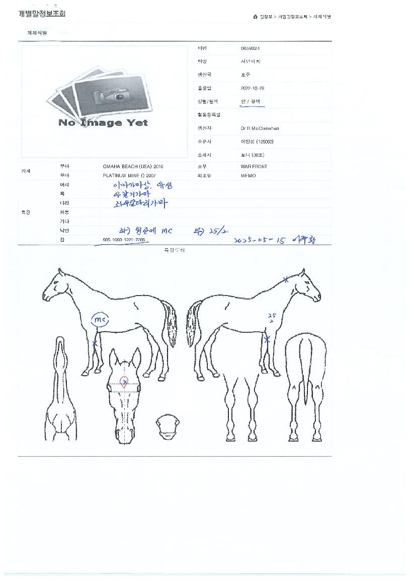 ¼´øºñÄ¡ÀÇ Ãø¸é,¿ì¸é,µÞ¸é,µÎ»ó,´Ù¸®ÀÇ Æ¯Â¡µµÇØ
