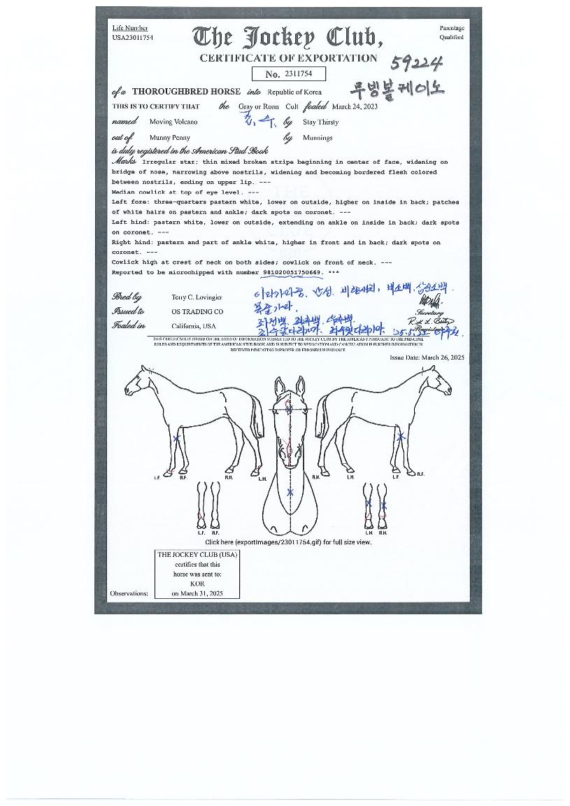 ¹«ºùº¼ÄÉÀ̳ëÀÇ Ãø¸é,¿ì¸é,µÞ¸é,µÎ»ó,´Ù¸®ÀÇ Æ¯Â¡µµÇØ