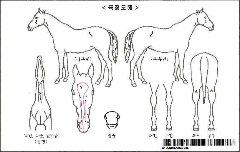 ŵ°íÀ×ÀÚ¸¶ÀÇ Ãø¸é,¿ì¸é,µÞ¸é,µÎ»ó,´Ù¸®ÀÇ Æ¯Â¡µµÇØ