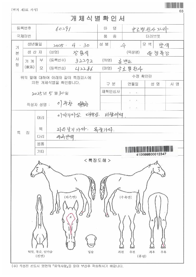 ±Û·Î¹úõ»çÀÚ¸¶ÀÇ Ãø¸é,¿ì¸é,µÞ¸é,µÎ»ó,´Ù¸®ÀÇ Æ¯Â¡µµÇØ