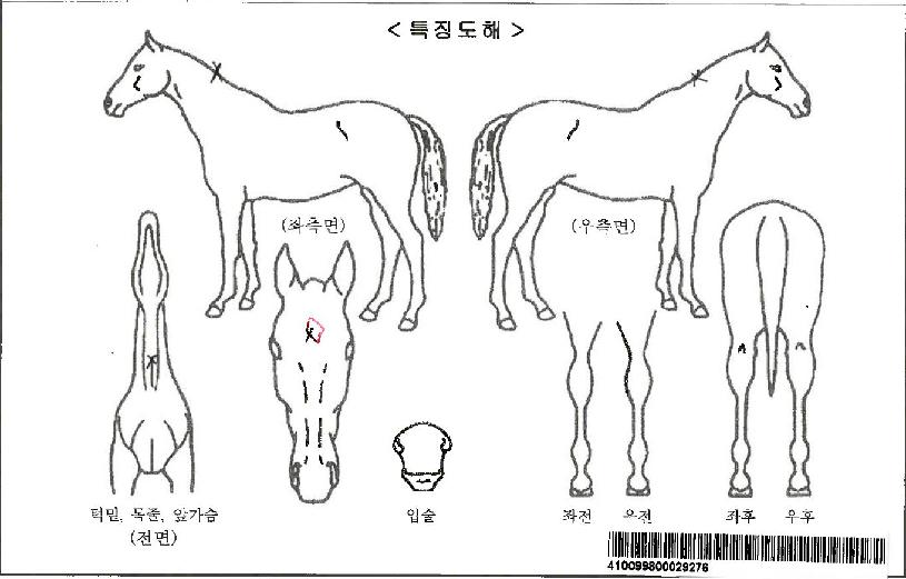 ±×·£µåºñÀüÀÚ¸¶ÀÇ Ãø¸é,¿ì¸é,µÞ¸é,µÎ»ó,´Ù¸®ÀÇ Æ¯Â¡µµÇØ