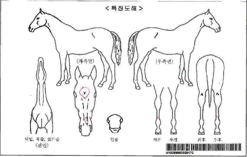 ÄýÇÒ¸®ÀÚ¸¶ÀÇ Ãø¸é,¿ì¸é,µÞ¸é,µÎ»ó,´Ù¸®ÀÇ Æ¯Â¡µµÇØ