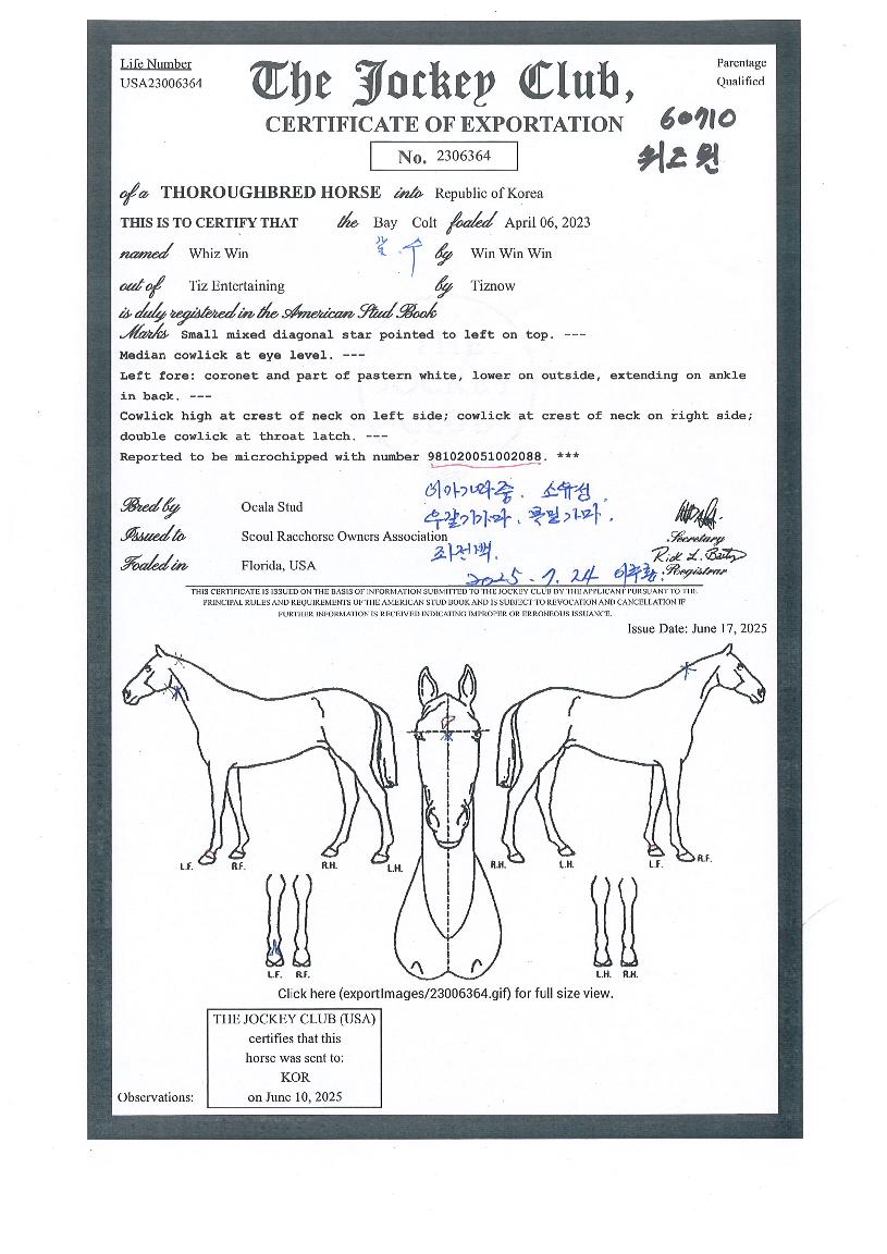 À§ÁîÀ©ÀÇ Ãø¸é,¿ì¸é,µÞ¸é,µÎ»ó,´Ù¸®ÀÇ Æ¯Â¡µµÇØ