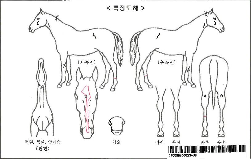 ¶ó¿Â´õÆÞÀÚ¸¶ÀÇ Ãø¸é,¿ì¸é,µÞ¸é,µÎ»ó,´Ù¸®ÀÇ Æ¯Â¡µµÇØ