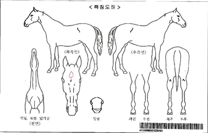 ¿¡ÁöÀÚ¸¶ÀÇ Ãø¸é,¿ì¸é,µÞ¸é,µÎ»ó,´Ù¸®ÀÇ Æ¯Â¡µµÇØ