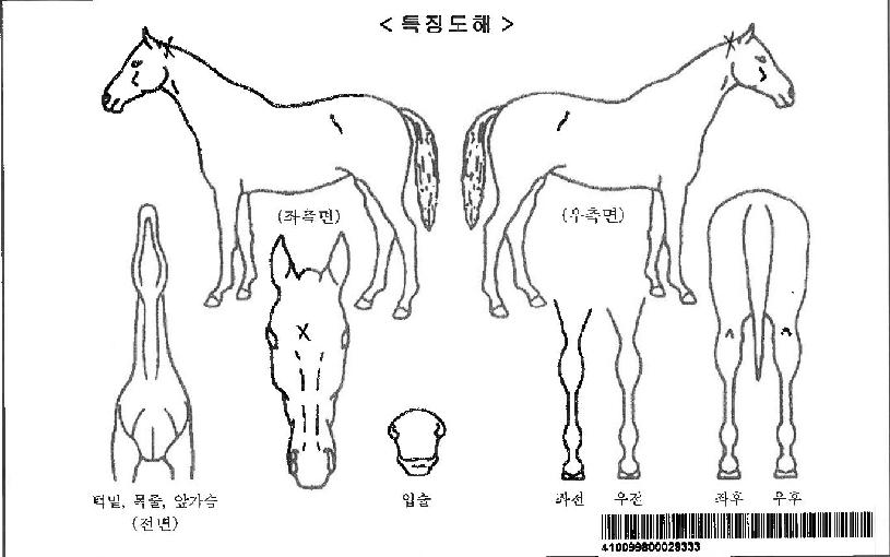 ¹®ÇÐÄýÀÚ¸¶ÀÇ Ãø¸é,¿ì¸é,µÞ¸é,µÎ»ó,´Ù¸®ÀÇ Æ¯Â¡µµÇØ
