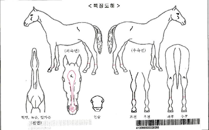 ½ºÀ§Æ®¿ÀÀÏÀÚ¸¶ÀÇ Ãø¸é,¿ì¸é,µÞ¸é,µÎ»ó,´Ù¸®ÀÇ Æ¯Â¡µµÇØ