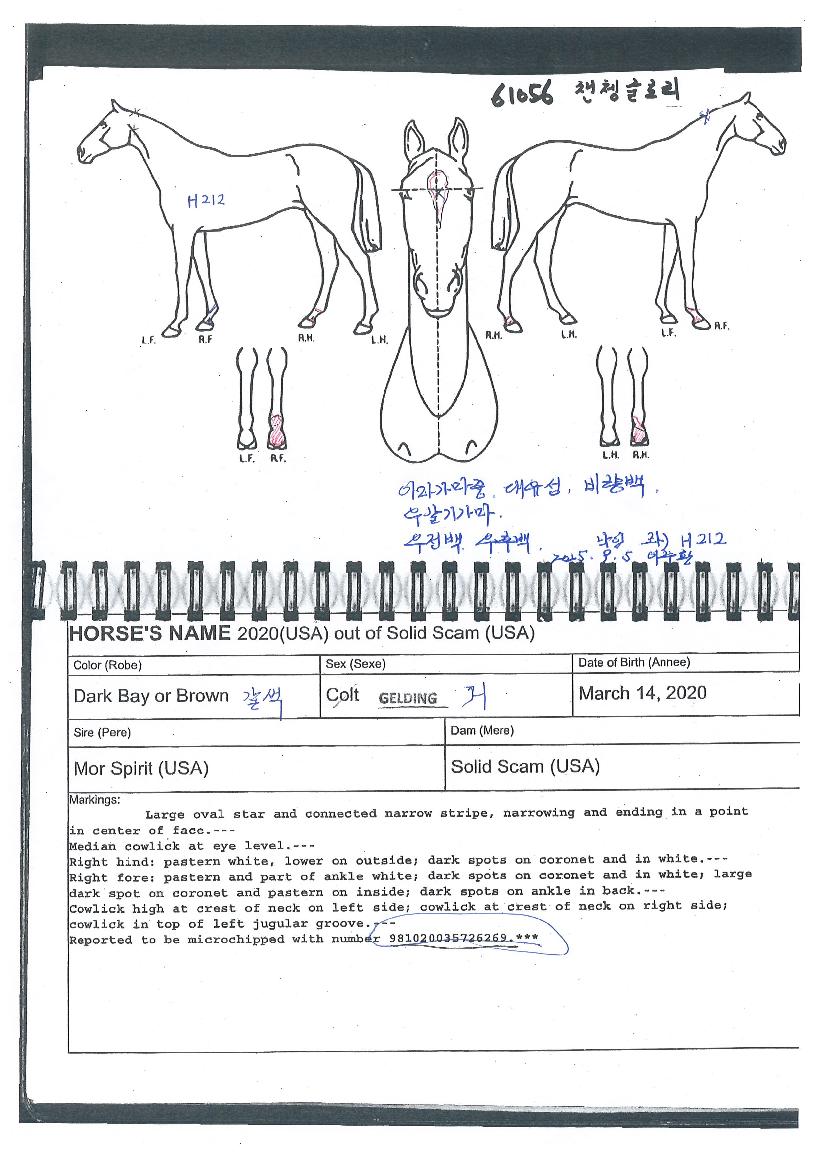 æÃñ۷θ®ÀÇ Ãø¸é,¿ì¸é,µÞ¸é,µÎ»ó,´Ù¸®ÀÇ Æ¯Â¡µµÇØ