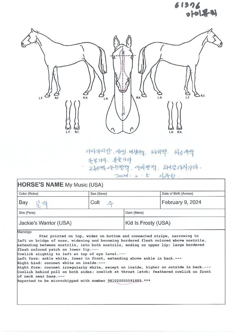 ¸¶À̹ÂÁ÷ÀÇ Ãø¸é,¿ì¸é,µÞ¸é,µÎ»ó,´Ù¸®ÀÇ Æ¯Â¡µµÇØ