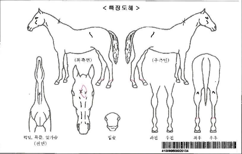 ÆøÇ³¼ÓÀ¸·ÎÀÚ¸¶ÀÇ Ãø¸é,¿ì¸é,µÞ¸é,µÎ»ó,´Ù¸®ÀÇ Æ¯Â¡µµÇØ