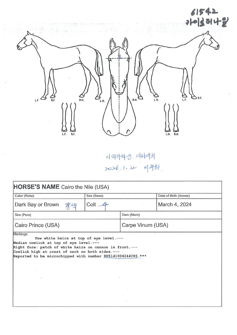 ¸¶ÀÌÆ¼ÇÏÀÌÆ®ÀÇ Ãø¸é,¿ì¸é,µÞ¸é,µÎ»ó,´Ù¸®ÀÇ Æ¯Â¡µµÇØ