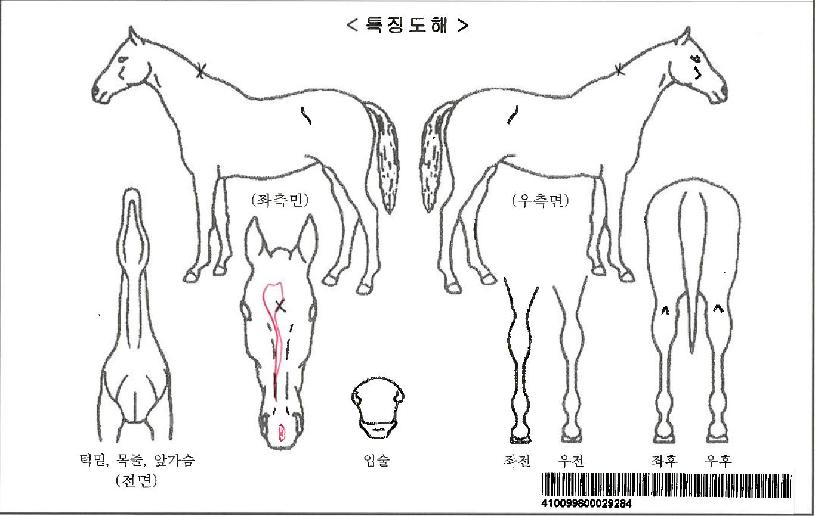 »çÁ¦ºÒÀÌÀÚ¸¶ÀÇ Ãø¸é,¿ì¸é,µÞ¸é,µÎ»ó,´Ù¸®ÀÇ Æ¯Â¡µµÇØ