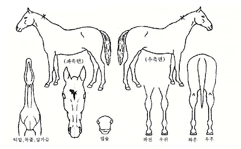Áö±¸ÇÔ´ëÀÇ Ãø¸é,¿ì¸é,µÞ¸é,µÎ»ó,´Ù¸®ÀÇ Æ¯Â¡µµÇØ
