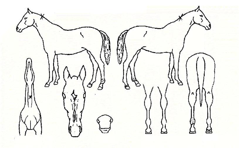 ´ëÆø»ó½ÂÀÇ Ãø¸é,¿ì¸é,µÞ¸é,µÎ»ó,´Ù¸®ÀÇ Æ¯Â¡µµÇØ