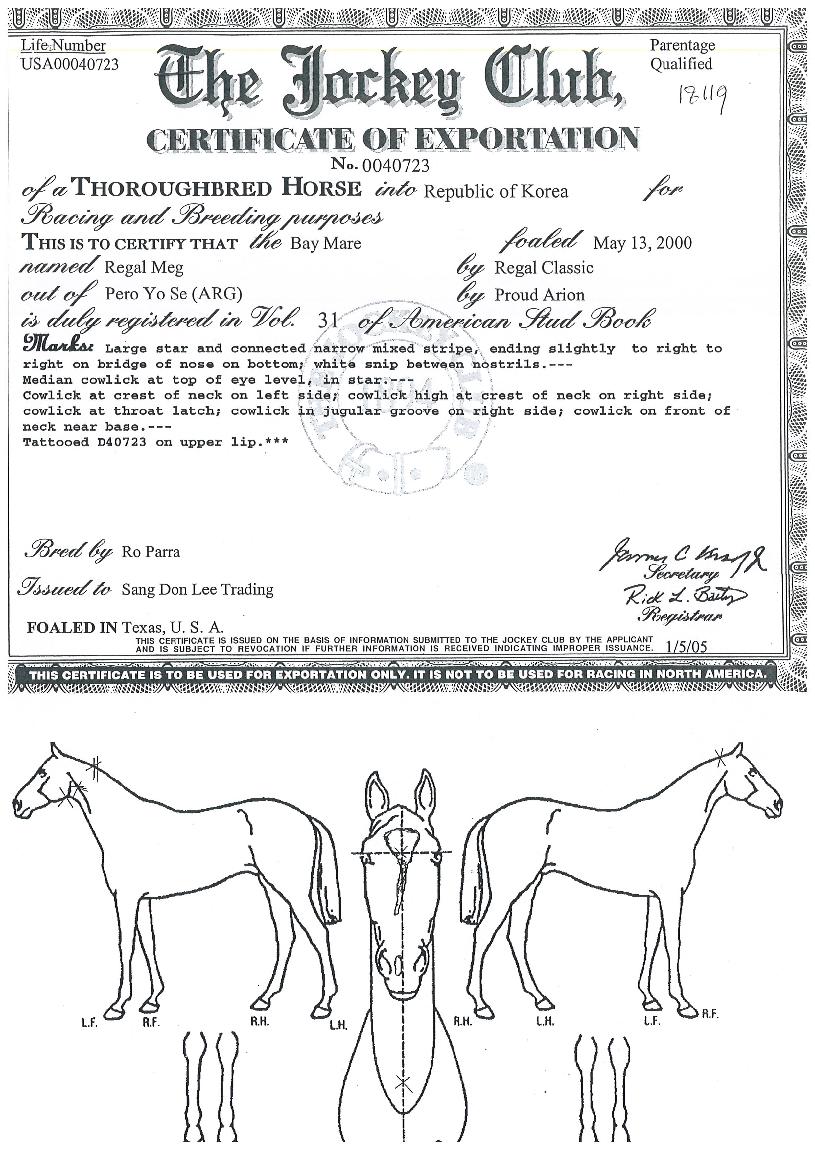 ¸®°É¸ßÀÇ Ãø¸é,¿ì¸é,µÞ¸é,µÎ»ó,´Ù¸®ÀÇ Æ¯Â¡µµÇØ