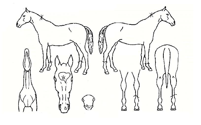 °ÔÀÌÆ®Æ÷½ºÆ®ÀÇ Ãø¸é,¿ì¸é,µÞ¸é,µÎ»ó,´Ù¸®ÀÇ Æ¯Â¡µµÇØ