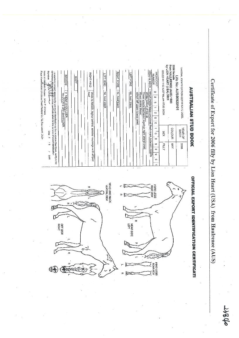 »õ·Î¿î¼¼»óÀÇ Ãø¸é,¿ì¸é,µÞ¸é,µÎ»ó,´Ù¸®ÀÇ Æ¯Â¡µµÇØ