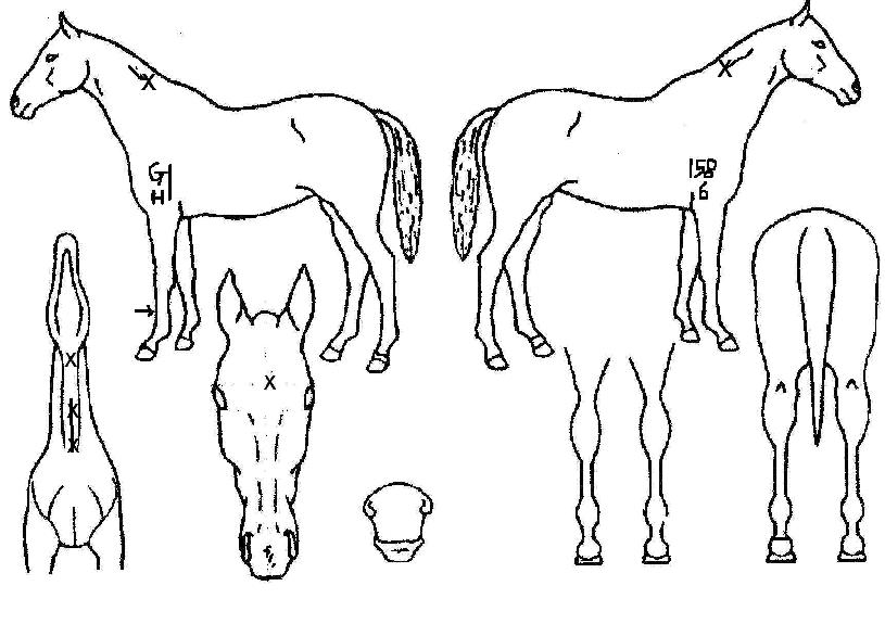 ¿ùµåÁöÁ¸ÀÇ Ãø¸é,¿ì¸é,µÞ¸é,µÎ»ó,´Ù¸®ÀÇ Æ¯Â¡µµÇØ