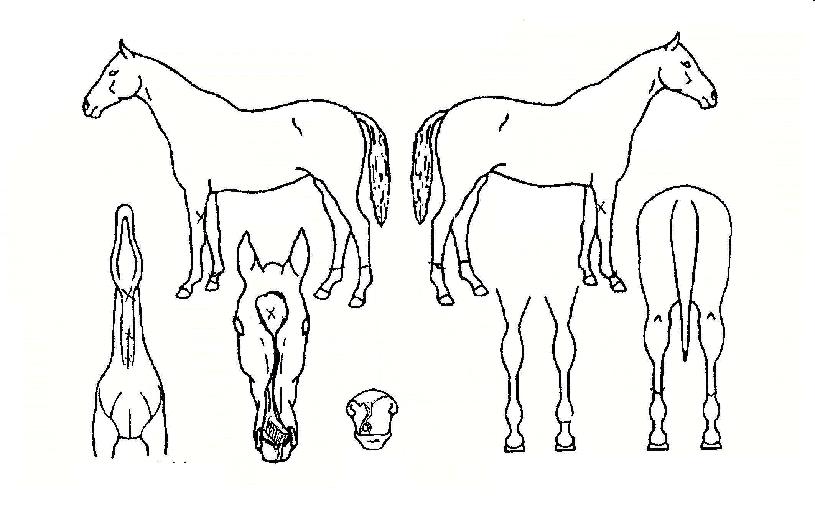 ±Ý»êÀÌÀÇ Ãø¸é,¿ì¸é,µÞ¸é,µÎ»ó,´Ù¸®ÀÇ Æ¯Â¡µµÇØ