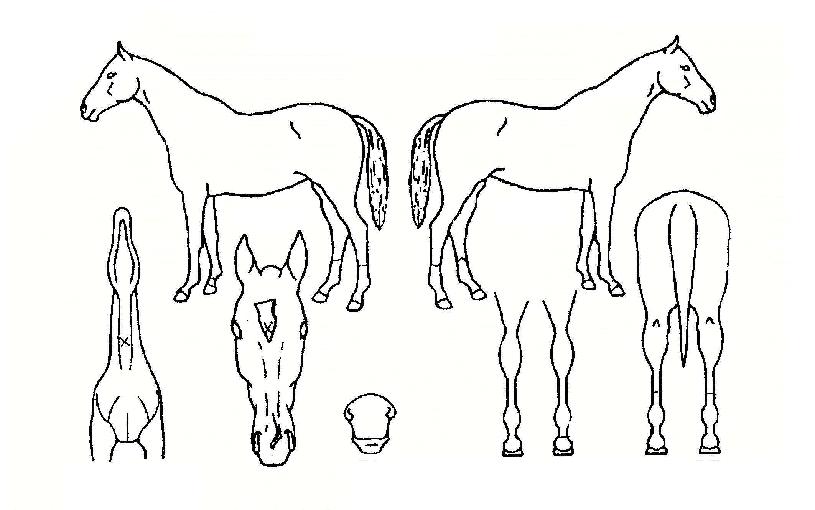 ºñÇØÇÇÀÇ Ãø¸é,¿ì¸é,µÞ¸é,µÎ»ó,´Ù¸®ÀÇ Æ¯Â¡µµÇØ