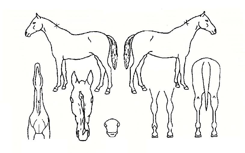 °¡µç½ÃƼÀÇ Ãø¸é,¿ì¸é,µÞ¸é,µÎ»ó,´Ù¸®ÀÇ Æ¯Â¡µµÇØ