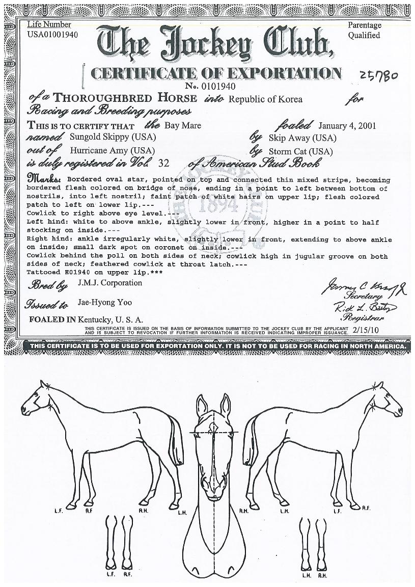 ¼±°ñµå½ºÅ°ÇÇÀÇ Ãø¸é,¿ì¸é,µÞ¸é,µÎ»ó,´Ù¸®ÀÇ Æ¯Â¡µµÇØ