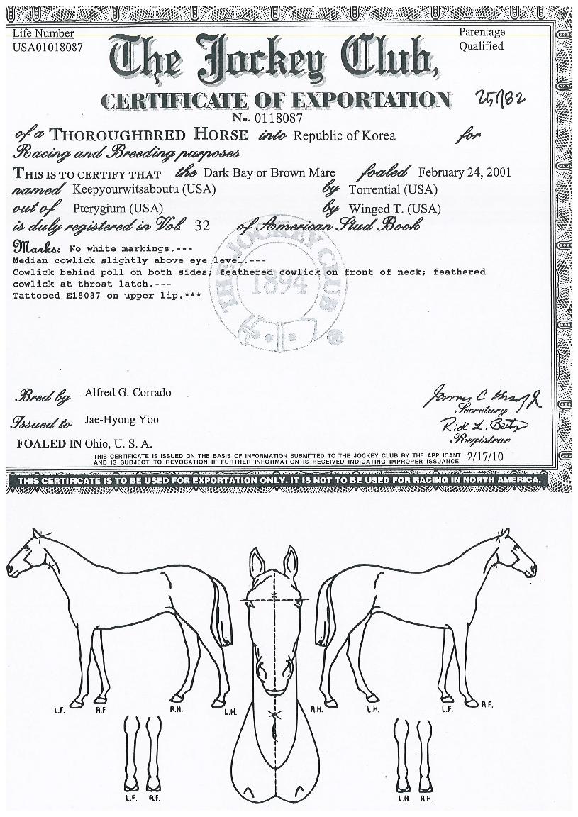 ŵÀ¯¾îÀ¾î¹Ù¿ôÀ¯ÀÇ Ãø¸é,¿ì¸é,µÞ¸é,µÎ»ó,´Ù¸®ÀÇ Æ¯Â¡µµÇØ