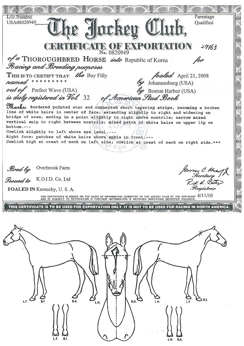 ±Ýºû¹°°áÀÇ Ãø¸é,¿ì¸é,µÞ¸é,µÎ»ó,´Ù¸®ÀÇ Æ¯Â¡µµÇØ