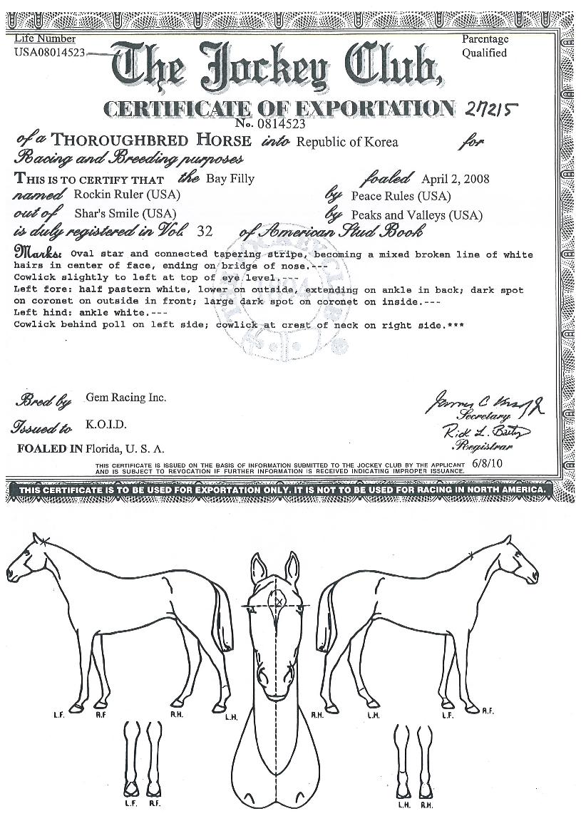 ·ÏÅ··ê·¯ÀÇ Ãø¸é,¿ì¸é,µÞ¸é,µÎ»ó,´Ù¸®ÀÇ Æ¯Â¡µµÇØ