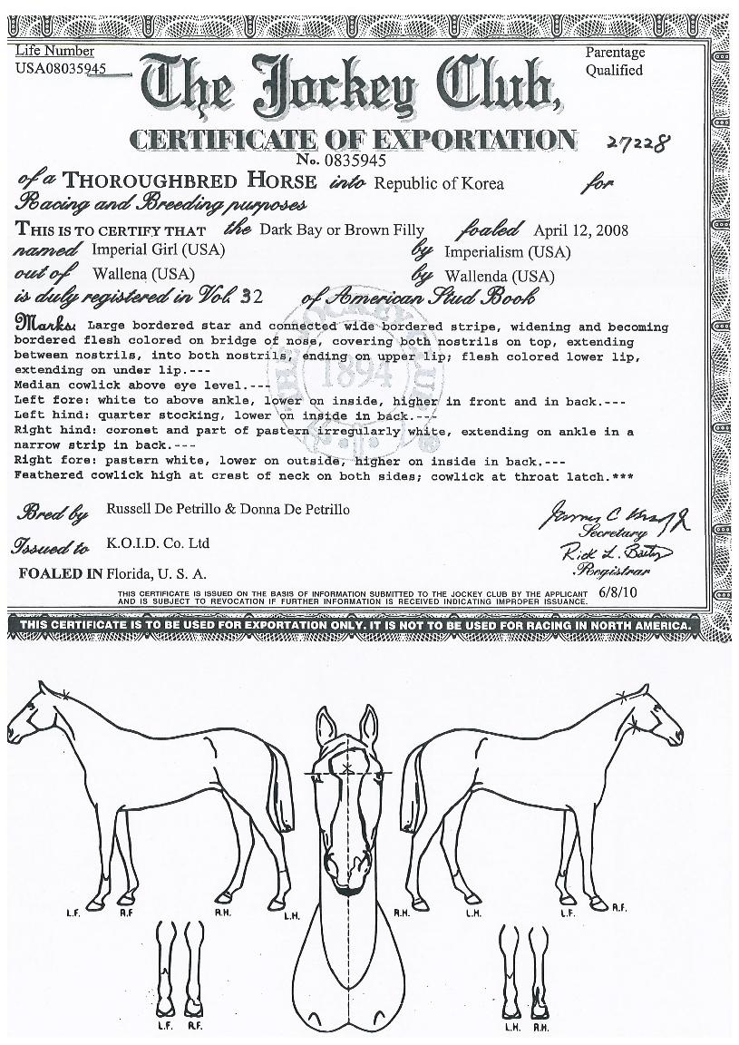 Àӯ䏮¾ó°ÉÀÇ Ãø¸é,¿ì¸é,µÞ¸é,µÎ»ó,´Ù¸®ÀÇ Æ¯Â¡µµÇØ