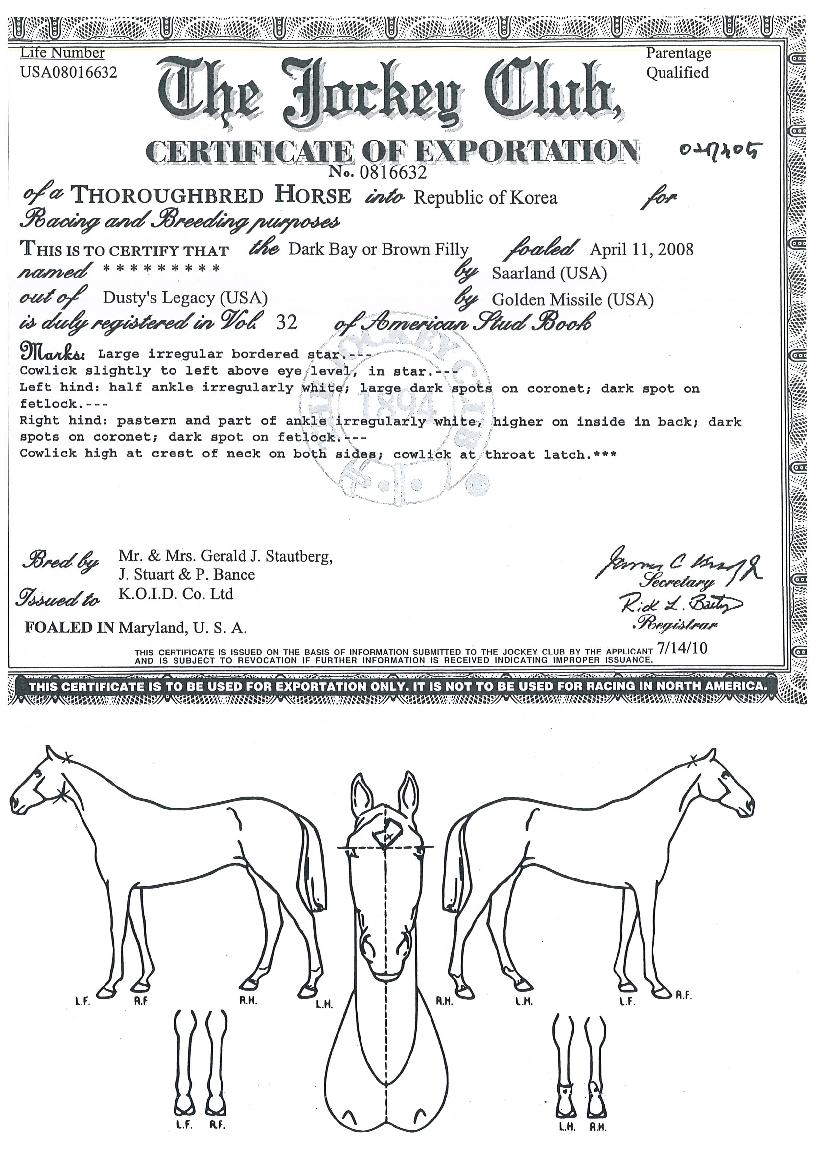 ´Ù¶ó´ÏÀÇ Ãø¸é,¿ì¸é,µÞ¸é,µÎ»ó,´Ù¸®ÀÇ Æ¯Â¡µµÇØ