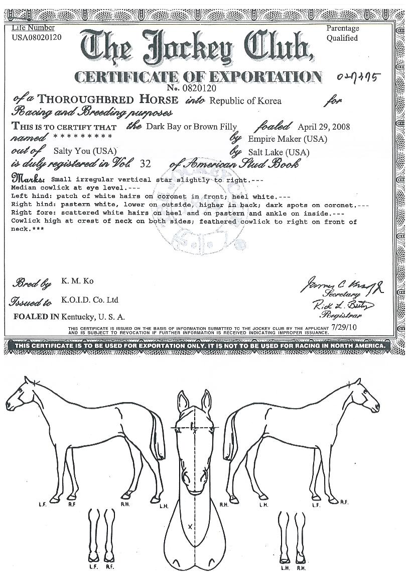 ¿¥ÆÄÀ̾î¿ùµåÀÇ Ãø¸é,¿ì¸é,µÞ¸é,µÎ»ó,´Ù¸®ÀÇ Æ¯Â¡µµÇØ