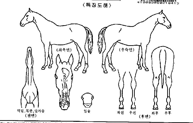 ·¹ÀÌȣũÀÇ Ãø¸é,¿ì¸é,µÞ¸é,µÎ»ó,´Ù¸®ÀÇ Æ¯Â¡µµÇØ
