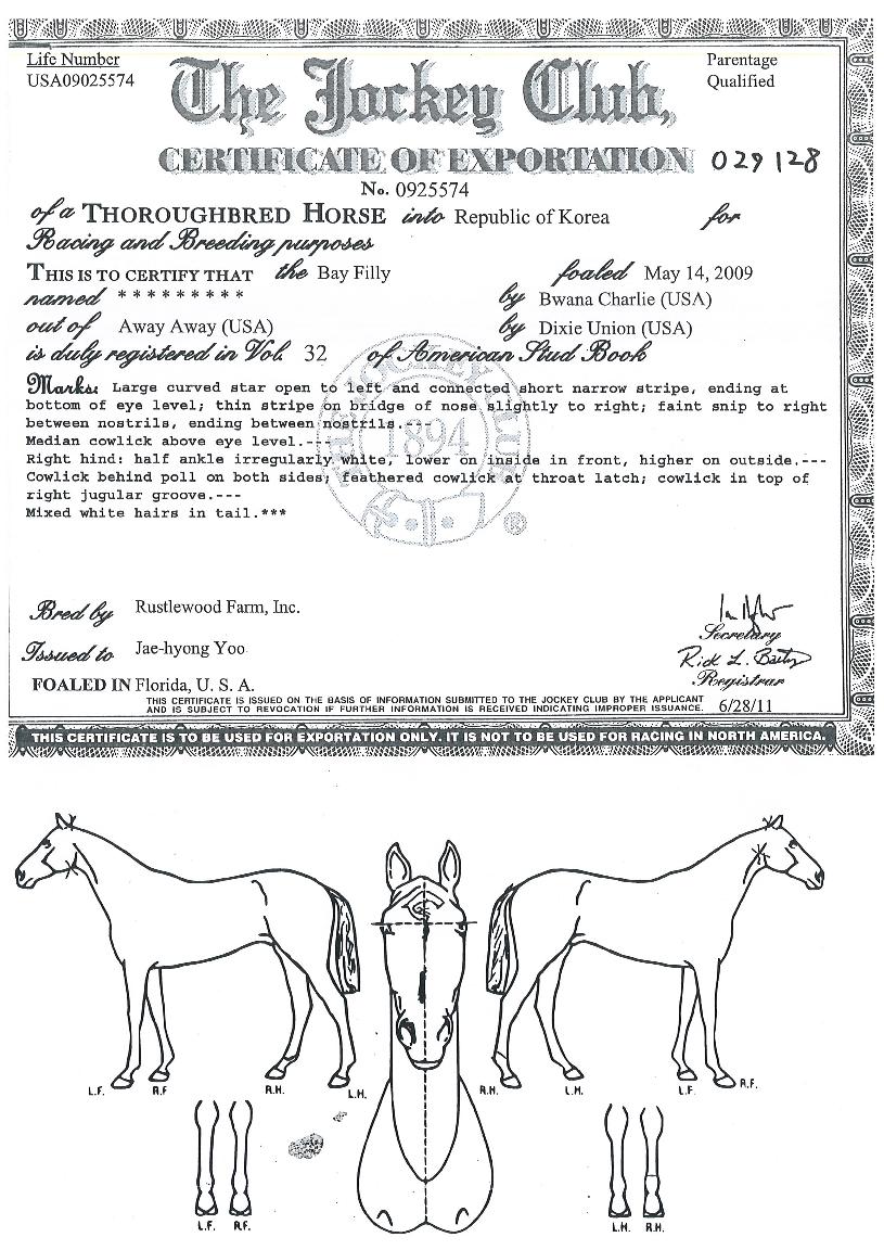 ¾ßÈ£µ¹ÇɽºÀÇ Ãø¸é,¿ì¸é,µÞ¸é,µÎ»ó,´Ù¸®ÀÇ Æ¯Â¡µµÇØ