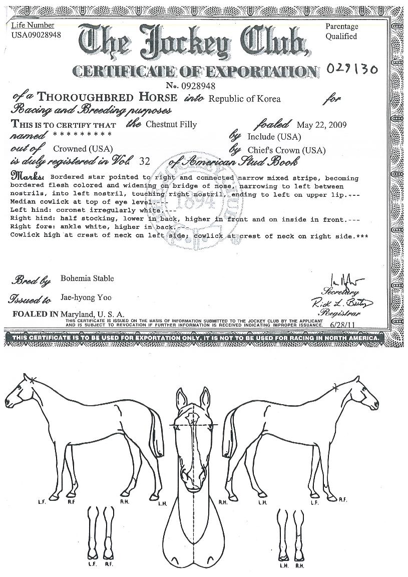 ²É¸¶·çÀÇ Ãø¸é,¿ì¸é,µÞ¸é,µÎ»ó,´Ù¸®ÀÇ Æ¯Â¡µµÇØ