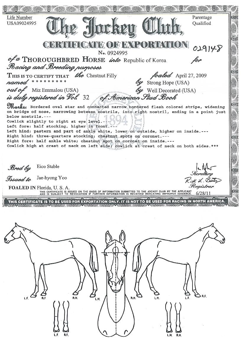 ÇØÇÇ´í¼ÀÇ Ãø¸é,¿ì¸é,µÞ¸é,µÎ»ó,´Ù¸®ÀÇ Æ¯Â¡µµÇØ