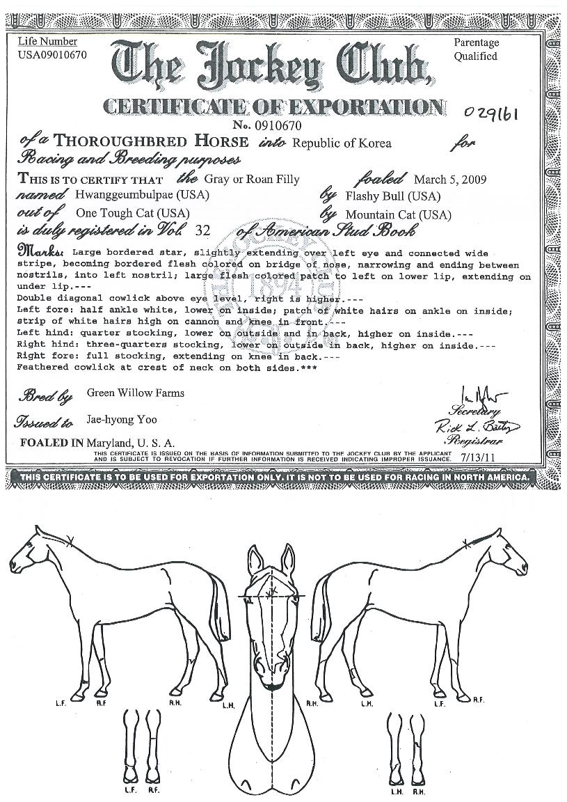 Ȳ±Ý´ë·ÎÀÇ Ãø¸é,¿ì¸é,µÞ¸é,µÎ»ó,´Ù¸®ÀÇ Æ¯Â¡µµÇØ