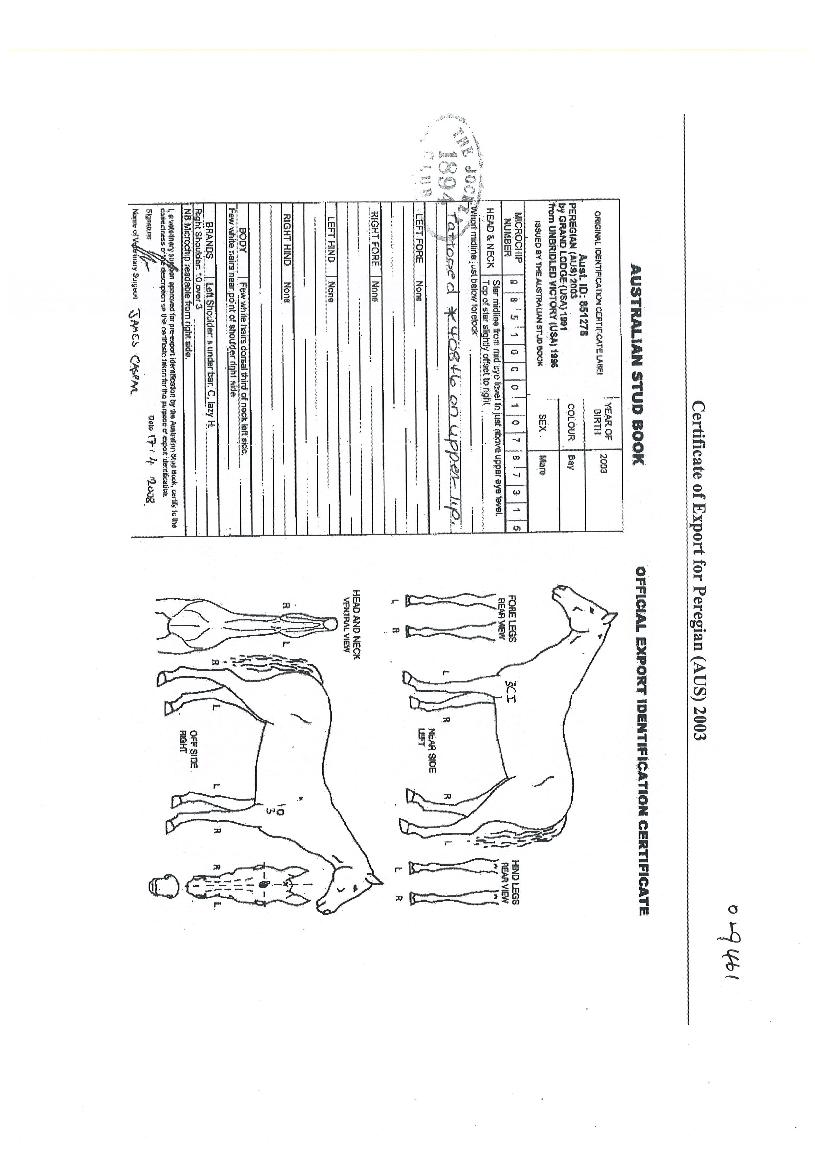 ÆÛ¸®Áö¾ÈÀÇ Ãø¸é,¿ì¸é,µÞ¸é,µÎ»ó,´Ù¸®ÀÇ Æ¯Â¡µµÇØ