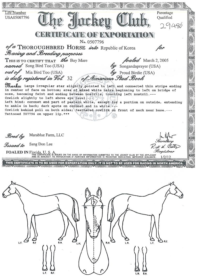 ¼Û¹öµåÅõÀÇ Ãø¸é,¿ì¸é,µÞ¸é,µÎ»ó,´Ù¸®ÀÇ Æ¯Â¡µµÇØ