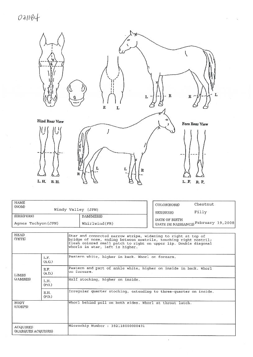 À©µð¹ë¸®ÀÇ Ãø¸é,¿ì¸é,µÞ¸é,µÎ»ó,´Ù¸®ÀÇ Æ¯Â¡µµÇØ