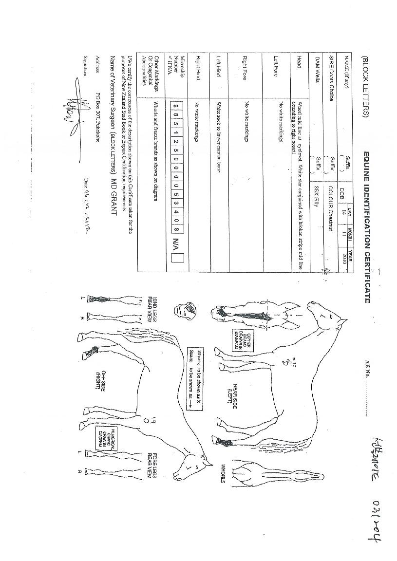 ¼±ºí·¹À̵åÀÇ Ãø¸é,¿ì¸é,µÞ¸é,µÎ»ó,´Ù¸®ÀÇ Æ¯Â¡µµÇØ