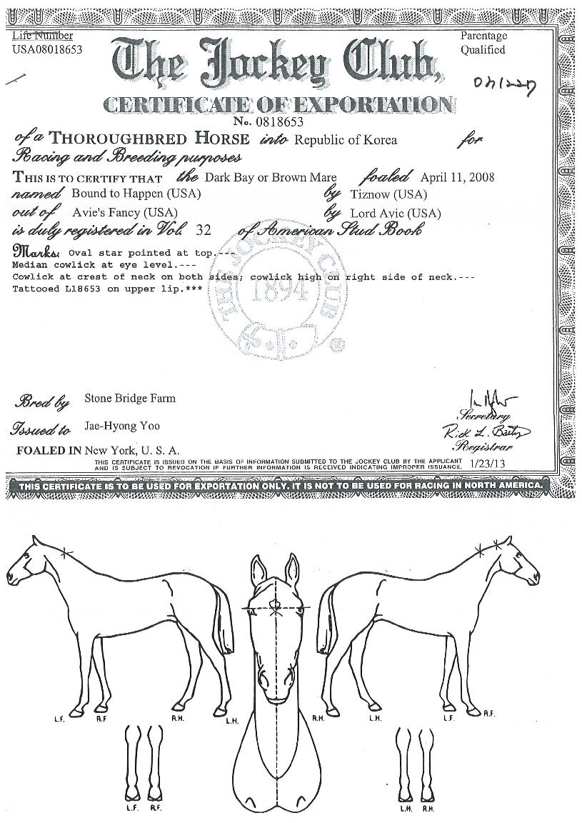 ¹Ù¿îµåÅõÇØÇÂÀÇ Ãø¸é,¿ì¸é,µÞ¸é,µÎ»ó,´Ù¸®ÀÇ Æ¯Â¡µµÇØ