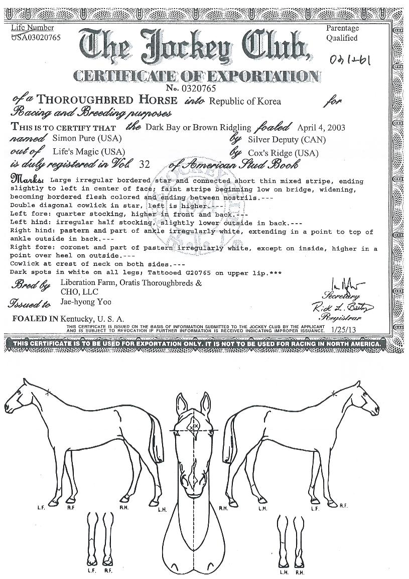 »çÀ̸ÕÇ»¾îÀÇ Ãø¸é,¿ì¸é,µÞ¸é,µÎ»ó,´Ù¸®ÀÇ Æ¯Â¡µµÇØ