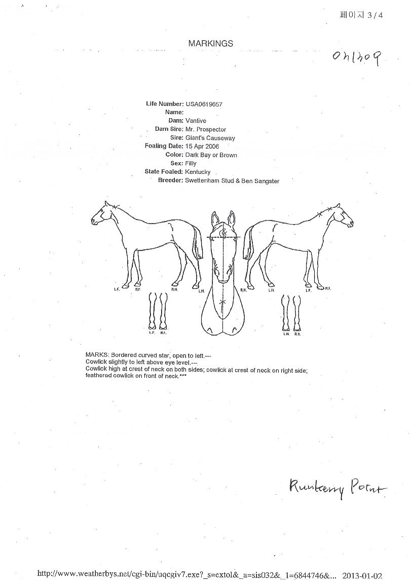 ·±Äɸ®Æ÷ÀÎÆ®ÀÇ Ãø¸é,¿ì¸é,µÞ¸é,µÎ»ó,´Ù¸®ÀÇ Æ¯Â¡µµÇØ