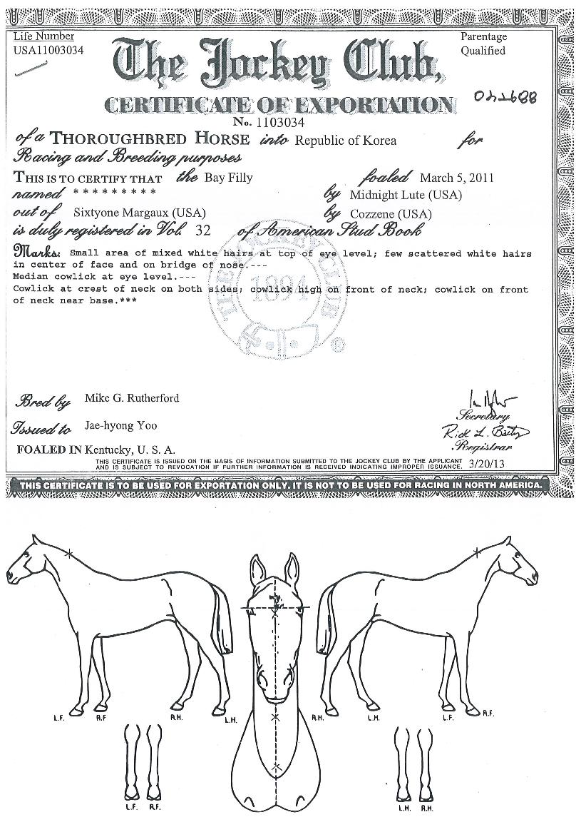 ¹ÌÁ°íÀÇ Ãø¸é,¿ì¸é,µÞ¸é,µÎ»ó,´Ù¸®ÀÇ Æ¯Â¡µµÇØ