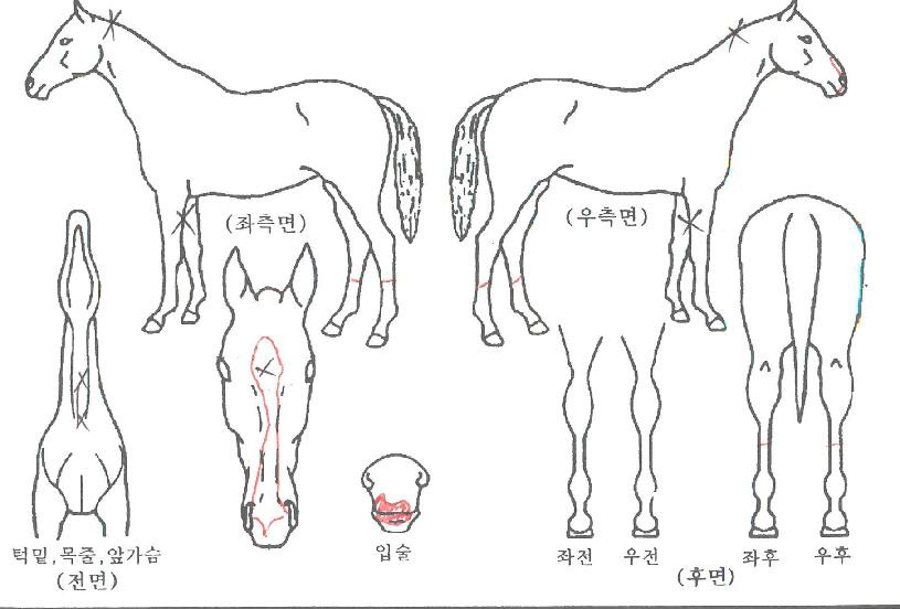 ¸Þ°¡Ã¨ÇÁÀÇ Ãø¸é,¿ì¸é,µÞ¸é,µÎ»ó,´Ù¸®ÀÇ Æ¯Â¡µµÇØ