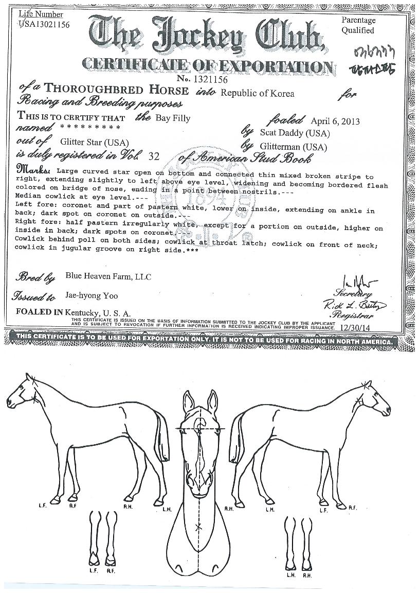 ÆÊÆÄ½ºÆÊÀÇ Ãø¸é,¿ì¸é,µÞ¸é,µÎ»ó,´Ù¸®ÀÇ Æ¯Â¡µµÇØ