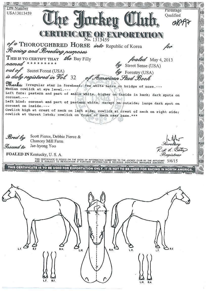 ½ÅÀ¯ÀÇ Ãø¸é,¿ì¸é,µÞ¸é,µÎ»ó,´Ù¸®ÀÇ Æ¯Â¡µµÇØ