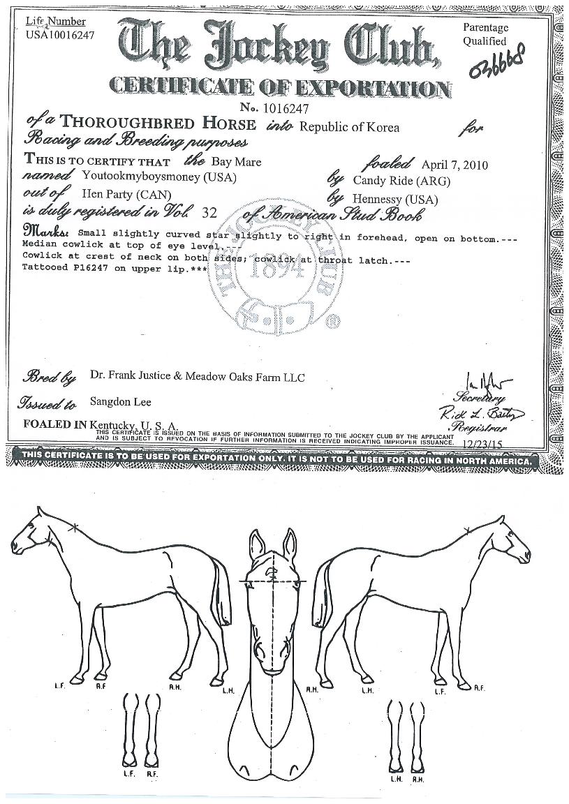 À¯Åö¸¶º¸ÀÌÁî¸Ó´ÏÀÇ Ãø¸é,¿ì¸é,µÞ¸é,µÎ»ó,´Ù¸®ÀÇ Æ¯Â¡µµÇØ